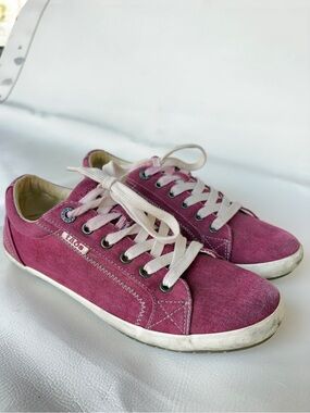 Taos Star Burgundy Canvas Sneakers